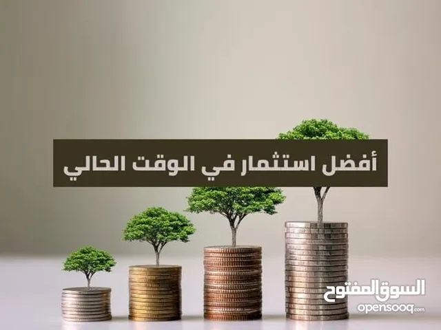 استثمار مبلغ ب فائدة 50 ٪