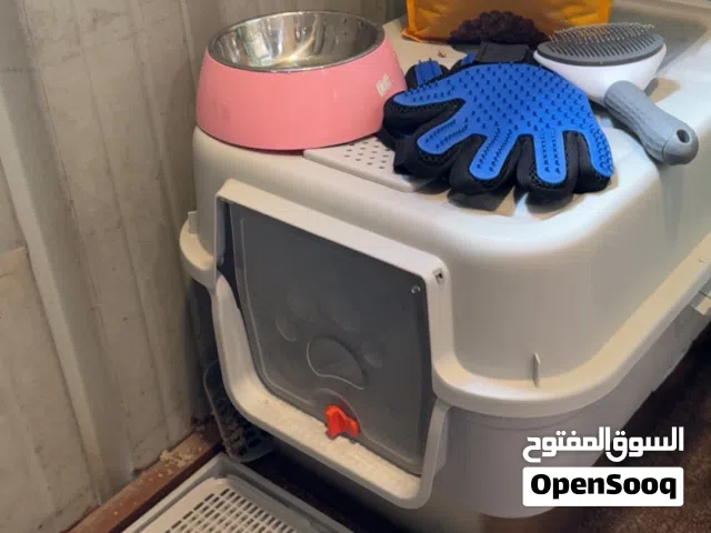 لتر بوكس كبير مع سانستيل والشياه ومشط وقلفزات ازالة الشعر مع صحنين