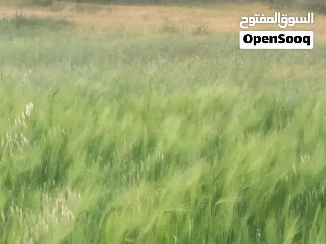 Farm Land for Sale in Salt Al Balqa'