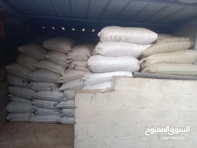 تمر نفع للأغنام والأبل