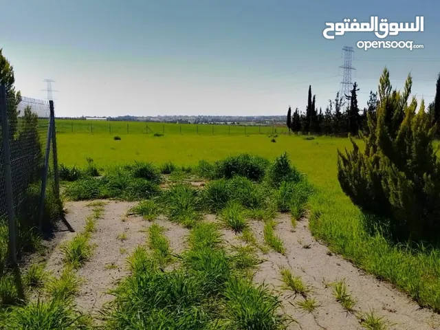 Mixed Use Land for Sale in Amman Other