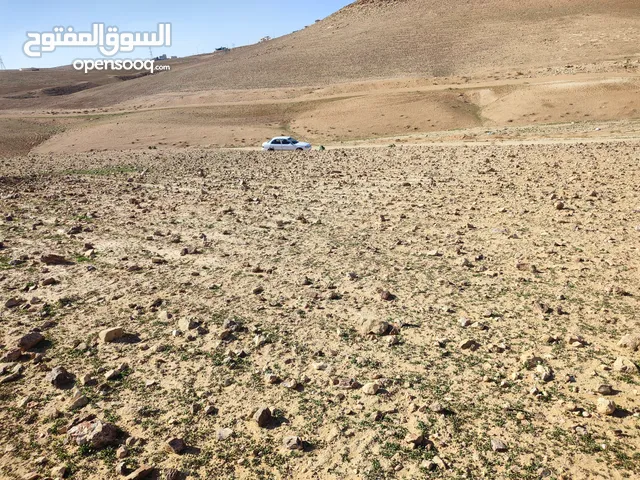 Residential Land for Sale in Amman Madonna