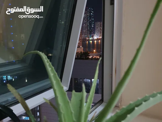 30 m2 Studio Apartments for Rent in Sharjah Al Taawun