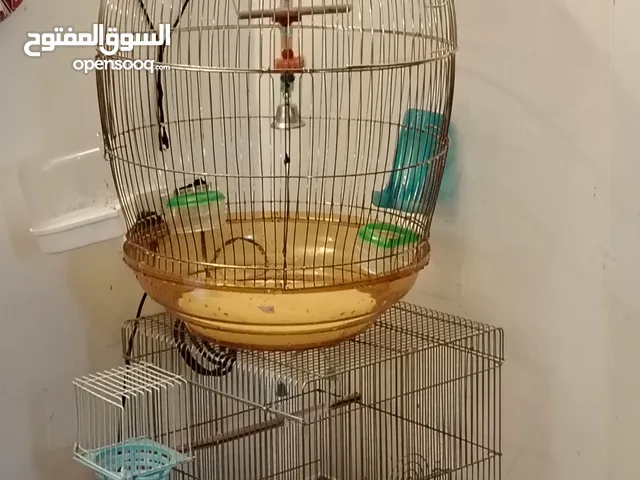 قفصين طيور مع أغراضهم بحاله جيده