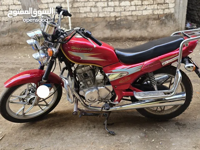 موتوسيكل هوجن 8