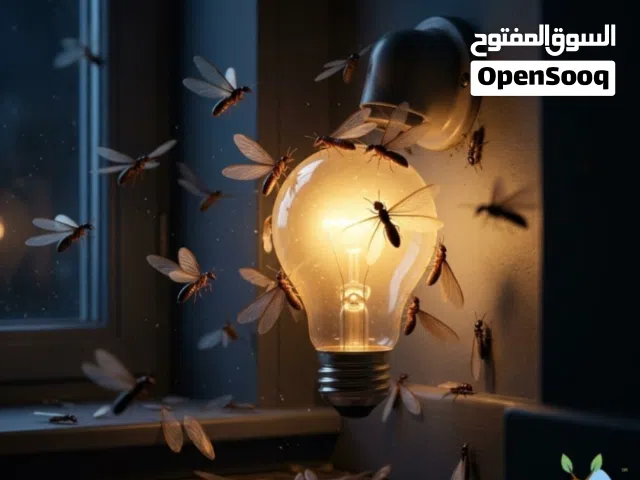 مكافحه النمل الابيض