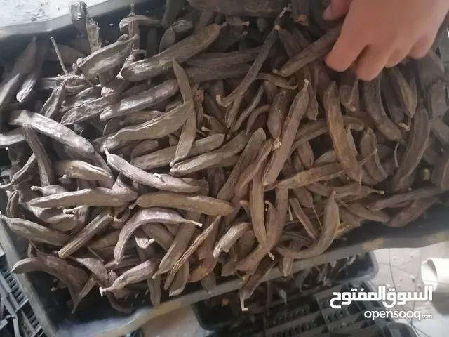 خروب للبيع