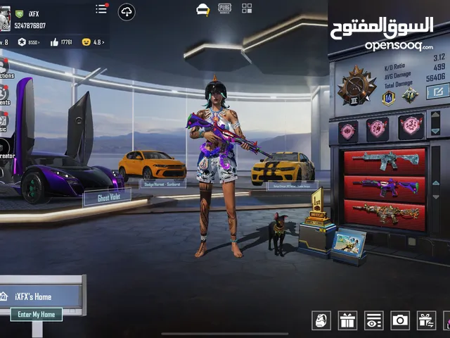 Pubg Accounts and Characters for Sale in Amman