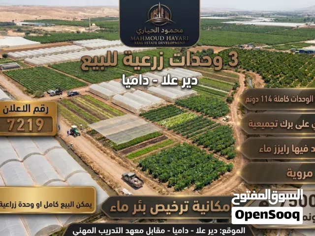 Farm Land for Sale in Salt Deir Alla