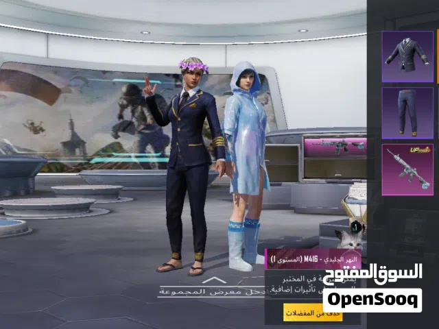 حساب ببجي للبيع