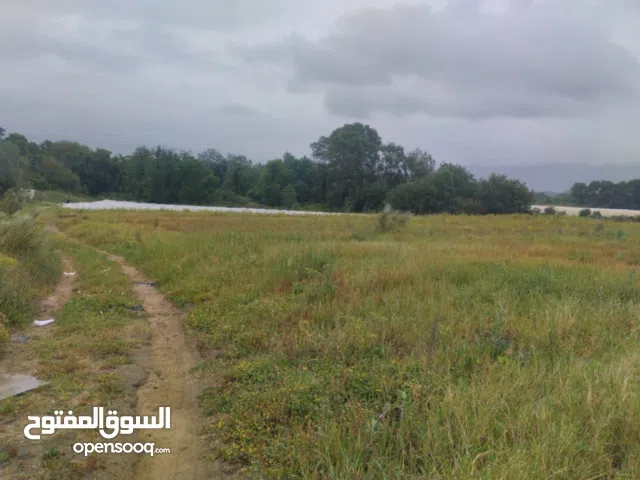 Farm Land for Sale in Jijel Other