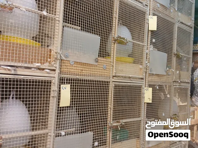 خانات حمام للبيع