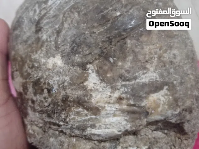 عنبر حوت طبيعي بشهادة مختبر تحليلات تثبت صحته