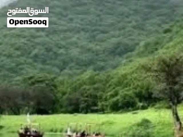 خدمه سياحية