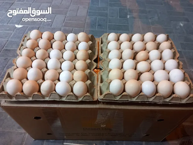 بيض بلدي الطبق 12واذا تبي كرتون 120