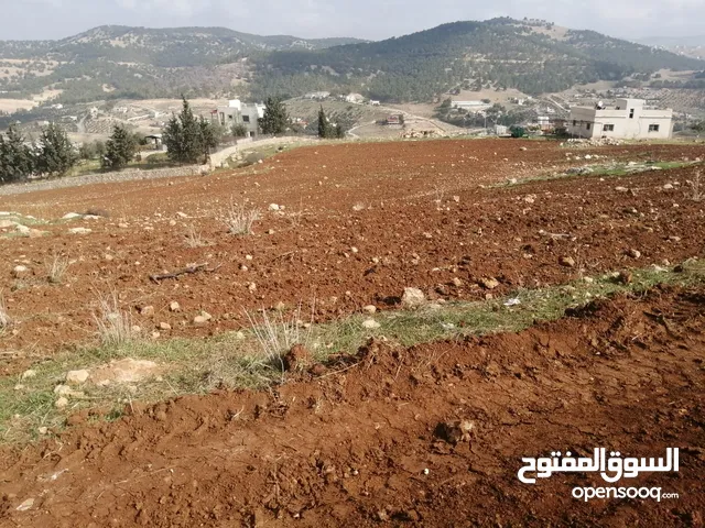 Farm Land for Sale in Amman Other