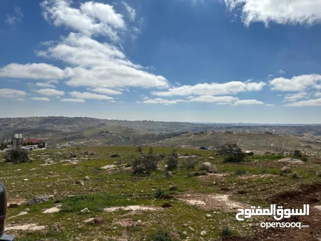Residential Land for Sale in Zarqa Um Rummanah