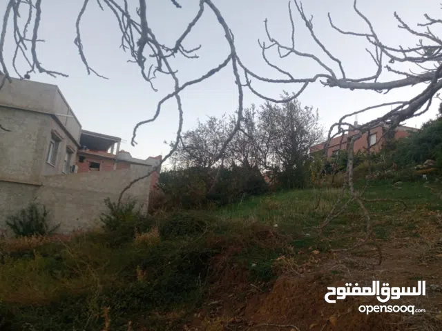 Residential Land for Sale in Tipasa Other