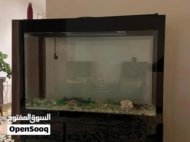 حوض سمك كبير