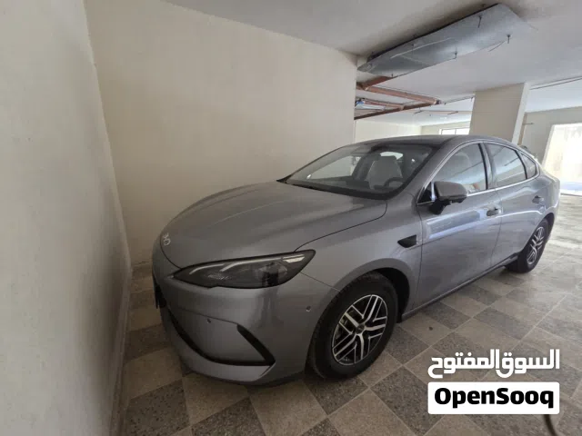 2025 بي واي دي سيل