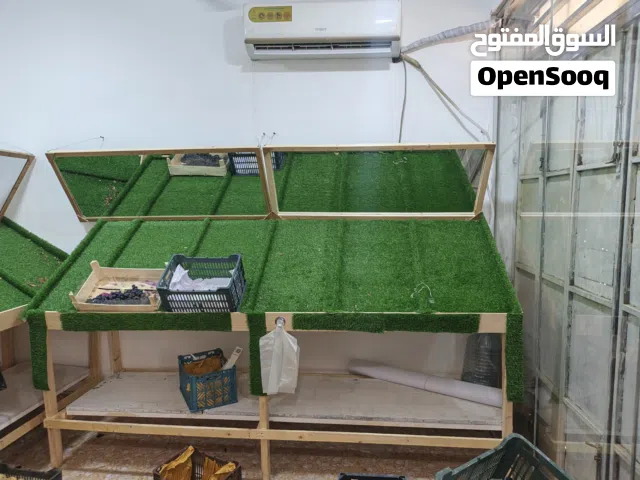 رفوف مخضر تفصال جديد وي المرايات