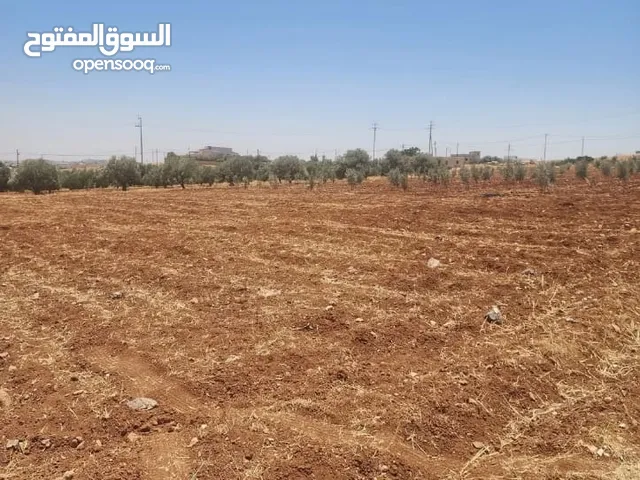 للبيع قطعه ارض رحاب البويضة طريق اربد الزرقاء تبعد عن شارع الرئيسي كيلو قطعه مميزه منطقة مزارع و ش