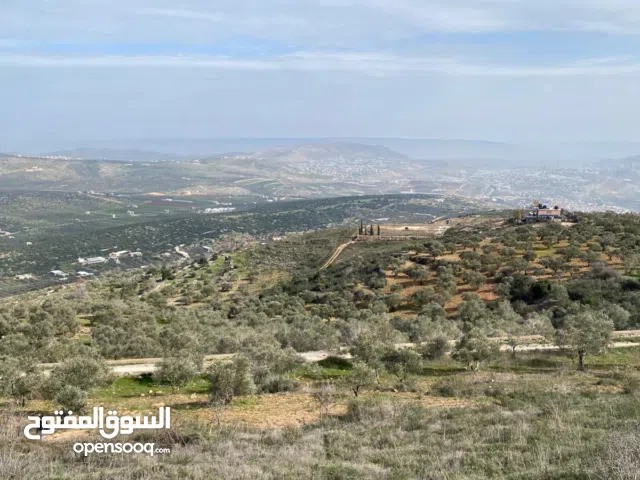 Mixed Use Land for Sale in Nablus Yasid