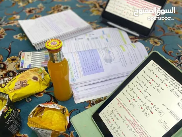 Elementary Teacher in Irbid