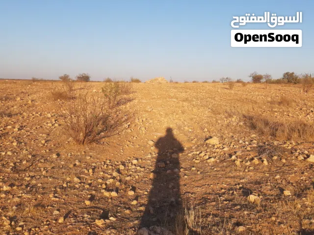 ارض زراعيه منتجة