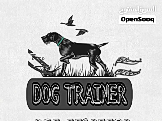 مدرب كلاب متخصص في تعديل السلوك