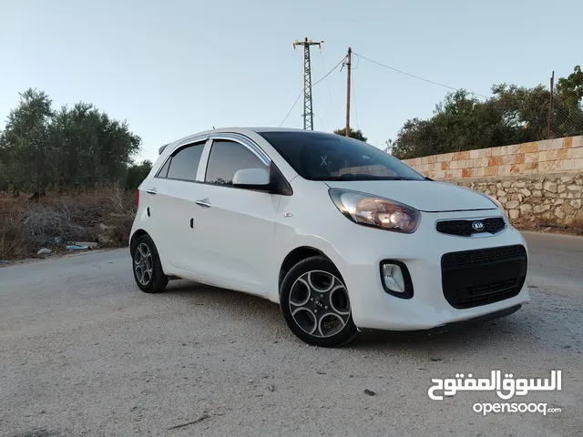 بكانتو... مورننج 2016برايفت اصل كوري