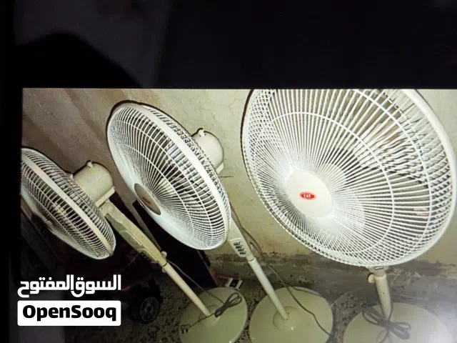 tat taban fan