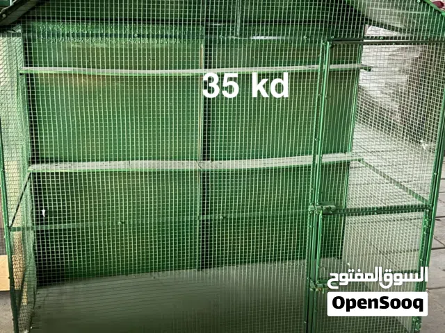 قفز حق دجاج حق حمام