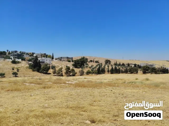 Residential Land for Sale in Madaba Mai'n