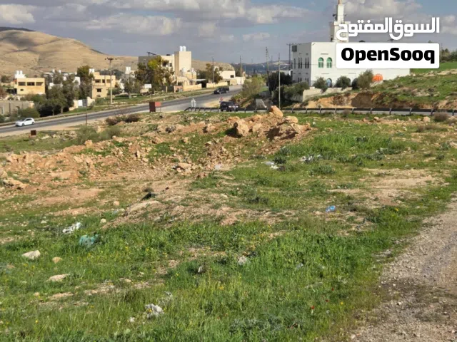 Residential Land for Sale in Zarqa Sarout