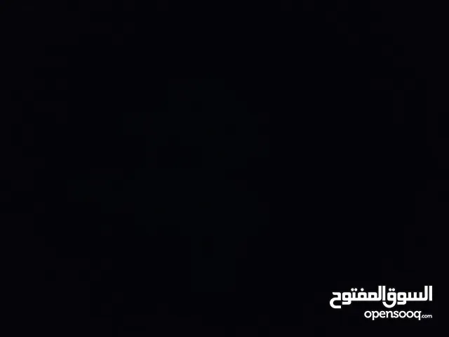 شعر طبيعي ميه وخمسن الله يبرك لا صحبيت الصيب قصير اخذتها 300