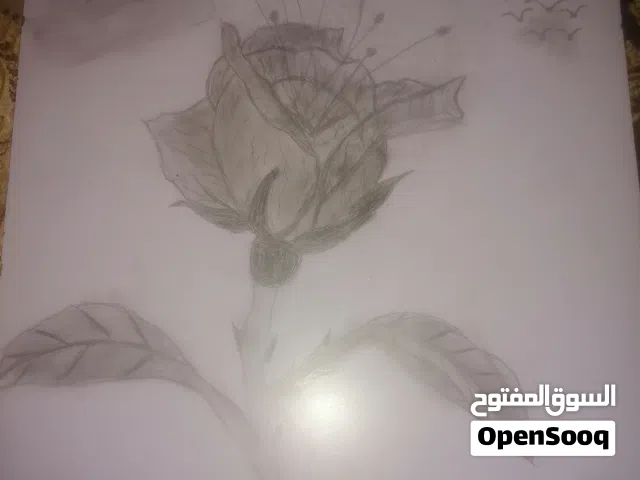 Mn17eer gtm