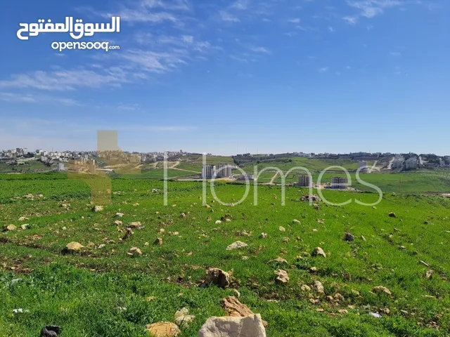 Residential Land for Sale in Amman Hjar Al Nawabilseh