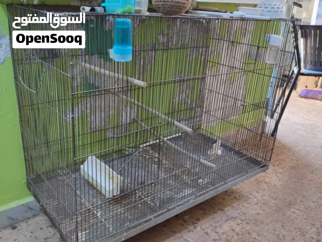 سلاكه حجم كبير