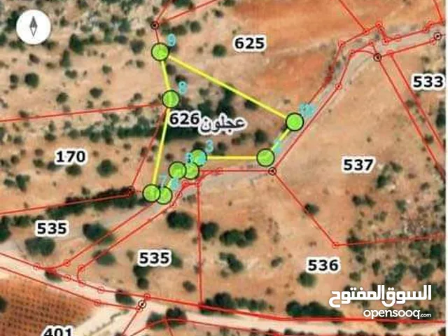 Residential Land for Sale in Ajloun Alqala'a