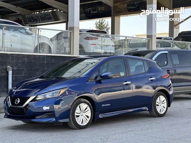 Leaf 2019 mint condition