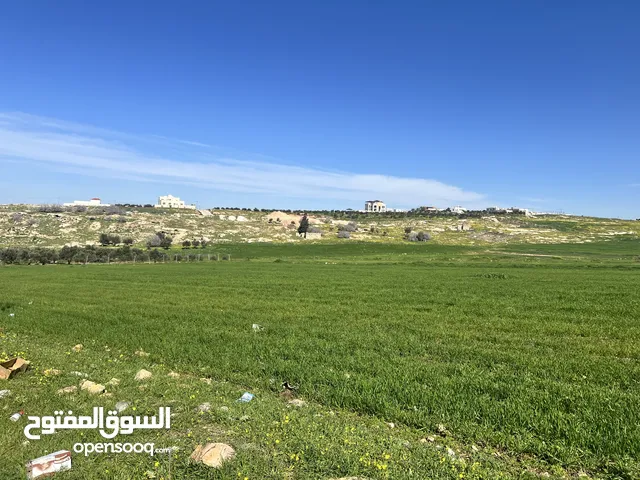 Residential Land for Sale in Irbid Aydoun