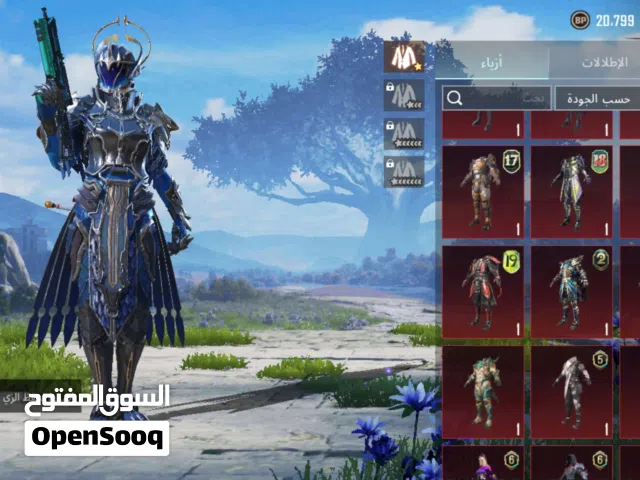 Pubg Accounts and Characters for Sale in Irbid