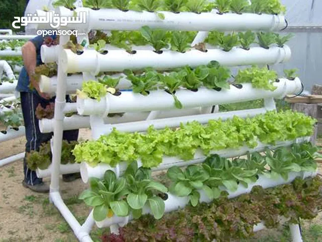 استشارات زراعيه