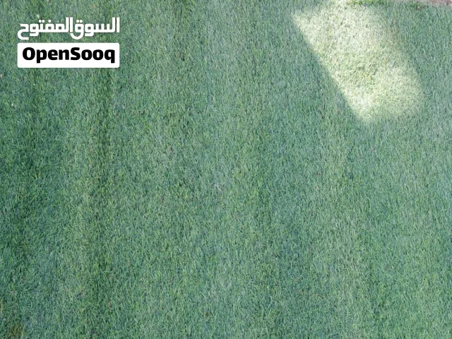 سجاده نجيل صناعي نخب ثقيل قياس 3في 4