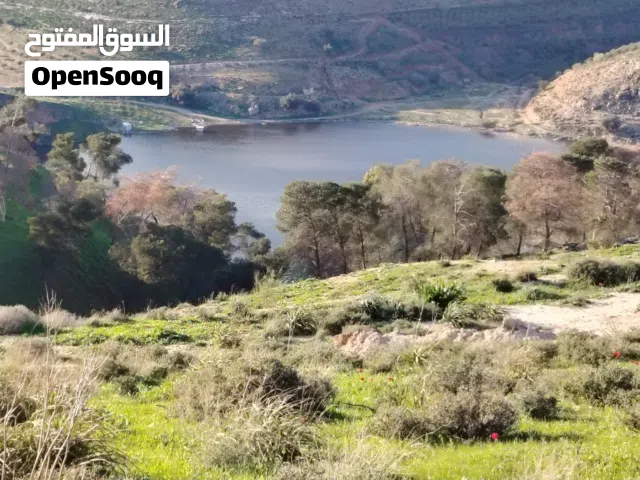 Farm Land for Sale in Jerash Al-Mastaba