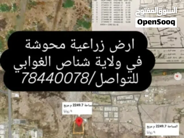Farm Land for Sale in Al Batinah Shinas