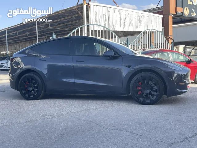 تيسلا y    2021