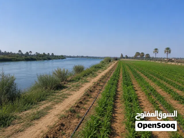 أرض زراعية  في البوعيثه ملك صرف