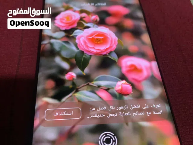 Tecno Spark 256 GB in Basra